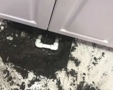 荔浦查漏水哪家好